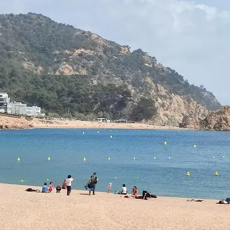 Cap D'or - Children Only From 15 Years Old 또사데마르